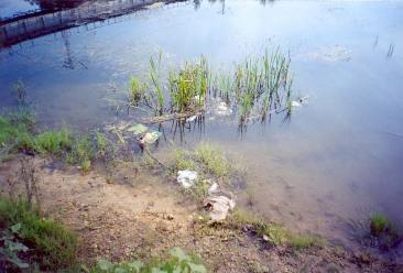 Река Чапаевка - бытовой мусор в воде
