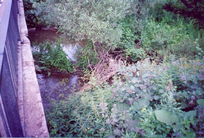 Река Кондурча