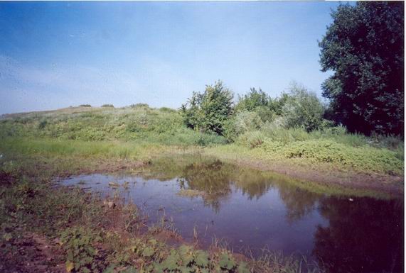 Река Чагра. Питается в основном талыми водами весной. Летом пересыхает и представляет собой цепочку отдельных плёсов